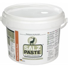 Tepama anyžių kvapo druska SALZ PASTE