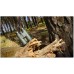 Žiūronai Delta Optical Forest II 12x50